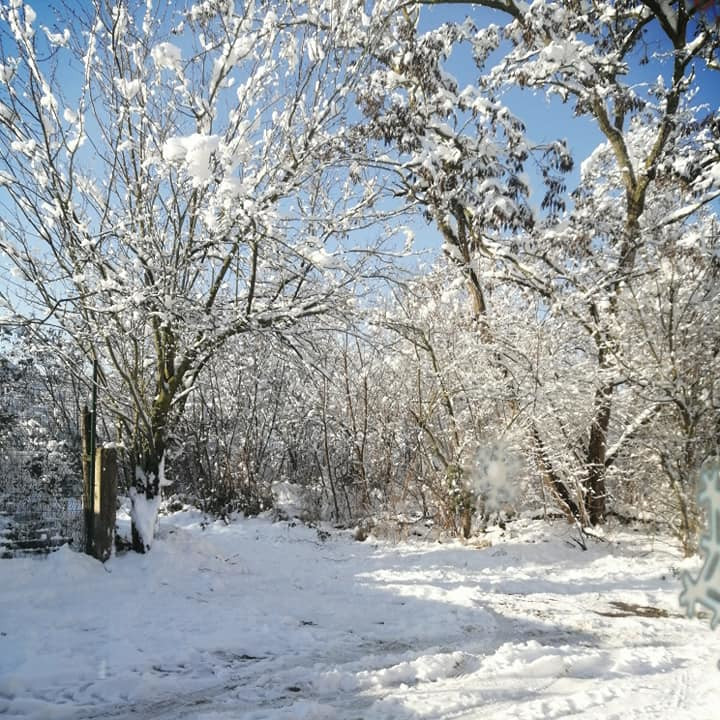 La Cabane Enchantée